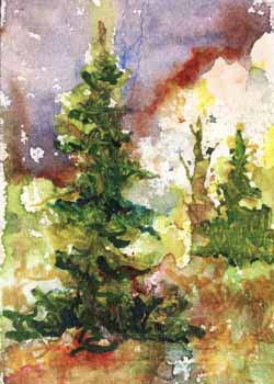 "Two Pine Trees" by Dorothy Bausch, Monona WI - Watercolor, SOLD